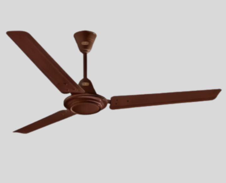 Ceiling Fan Winchester
